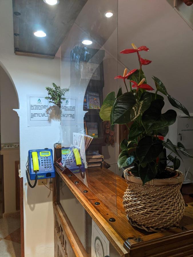 Hostal Moraima Capileira Exterior photo